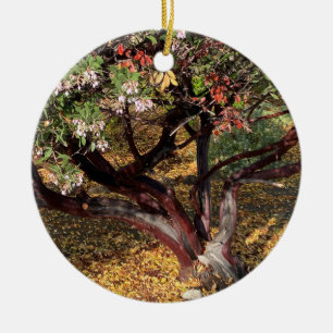 En blommande Kalifornien: Manzanita Julgransprydnad Keramik