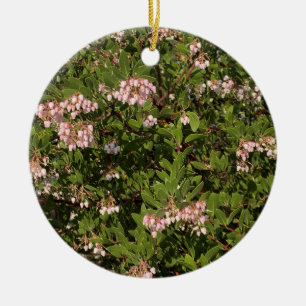 En blommande Kalifornien: Manzanita Julgransprydnad Keramik