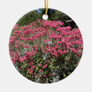 En blommande Kalifornien: Rödblommat bovete Julgransprydnad Keramik