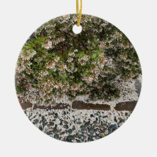 En blommande Kalifornien: Viva Manzanita! Julgransprydnad Keramik