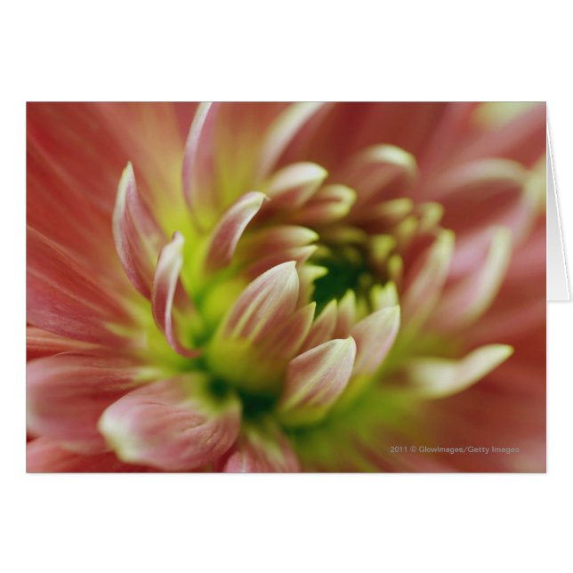 En blommas närhet hälsningskort (Framsidan Horizontal)