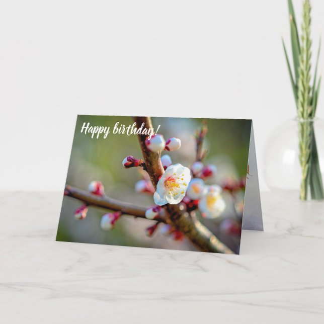 En Blommigt med japanska aprikosblommor Kort (Framsida)