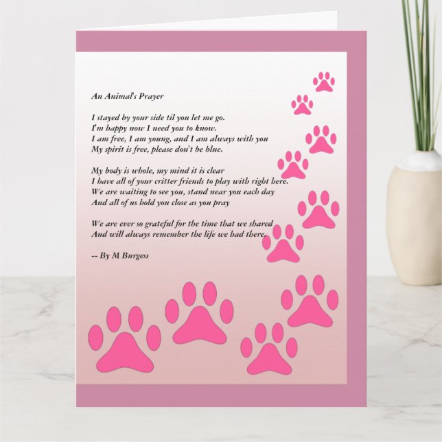 En bön för djur - kort (Framsida)