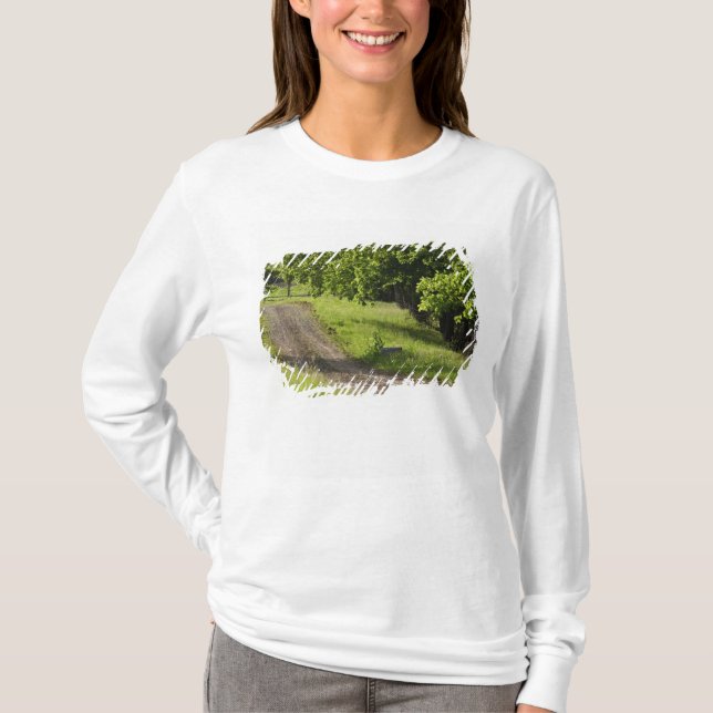 En bondväg i Ipswich, Massachusetts. Tee (Framsida)