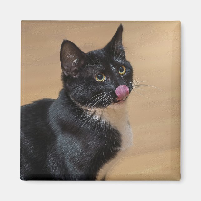 En Bra Slickar painterly Magnet (Framsidan)