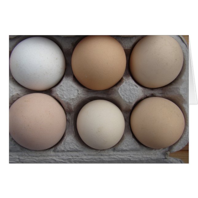 En bred sort hälsningskort (Framsidan Horizontal)