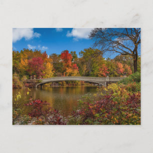 En bro i Central Park Vykort