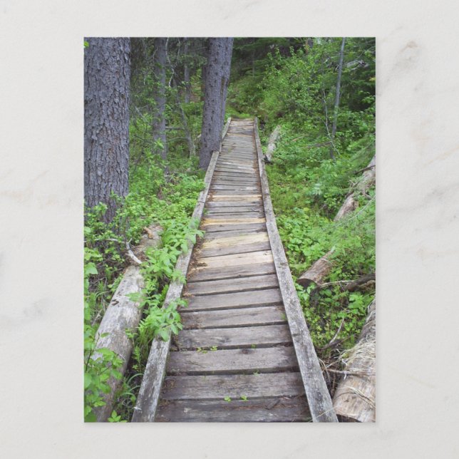 En bro i skogen vykort (Framsida)