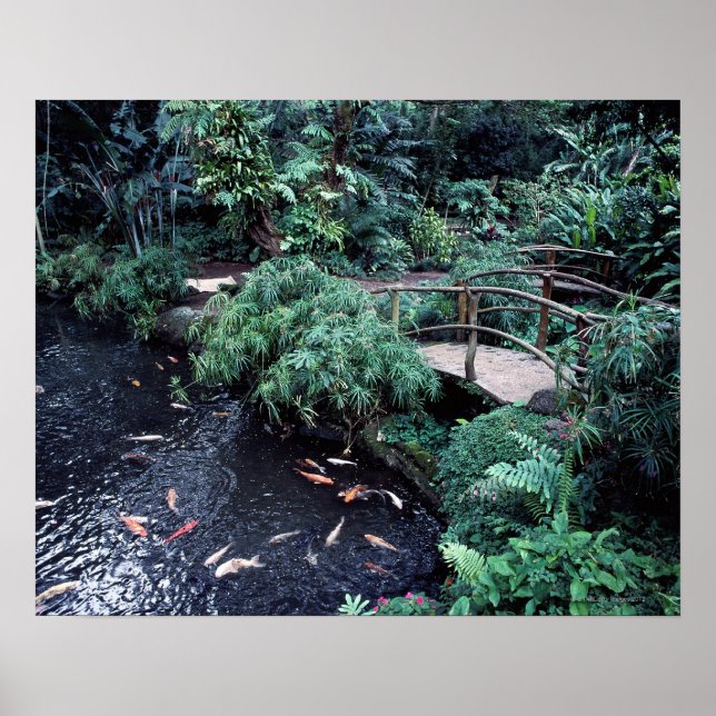 En bro över en guldfiskdamm omgiven av poster (Framsidan)