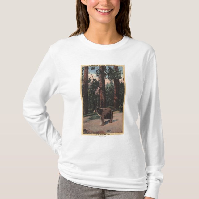 En brun björn i skogen tee (Framsida)