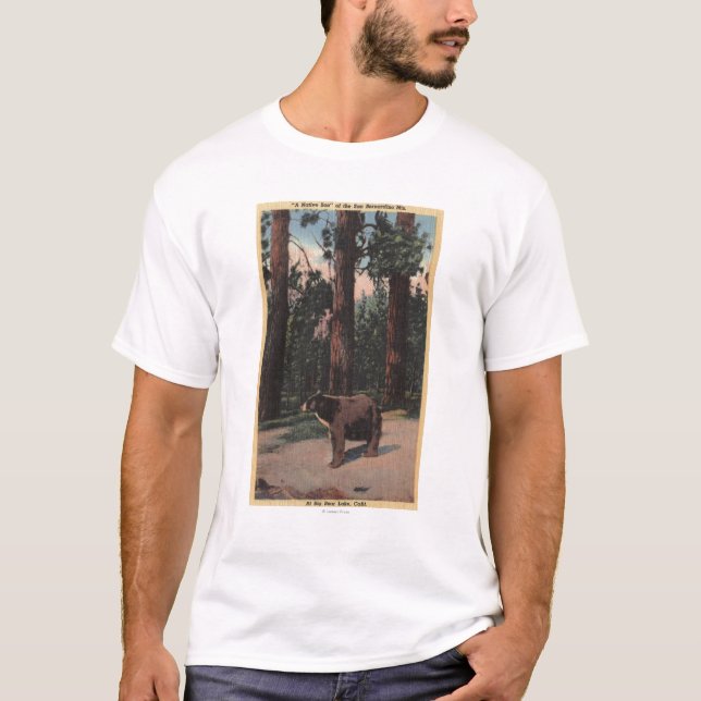 En brun björn i skogen tee (Framsida)