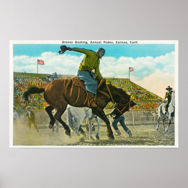 En Bucking Bronco vid den årliga Salinas Rodeo Poster (Framsidan)