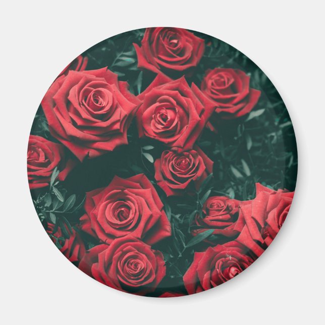 En bukett röda rosor magnet (Framsidan)