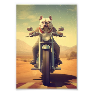 En Bulldog Riding a Motorcycle på en Desert Road Fototryck