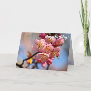 En bunch av Blommar av sötsaksSakura-körsbär i Vår Kort