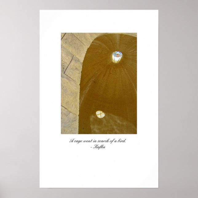 en bur gick i sökning efter en fågel poster (Framsidan)