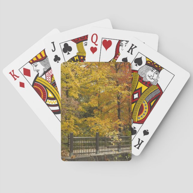 en casinokort (Baksidan)