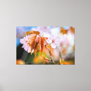 En Charmig Sakura Blomma På En Kvistsommar I Vår Canvastryck