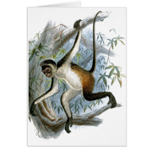 En Cheeky Monkey CC0366-barnkort Hälsningskort