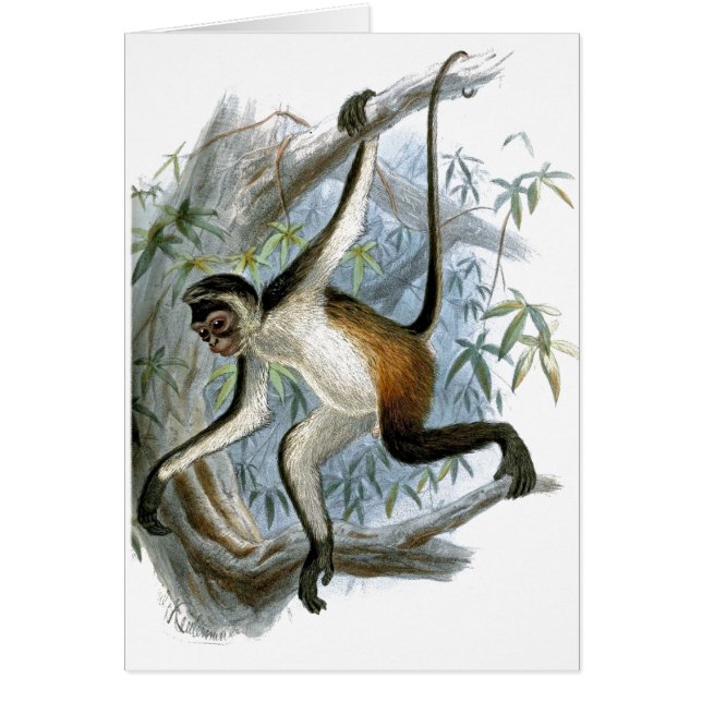 En Cheeky Monkey CC0366-barnkort Hälsningskort (Framsidan)