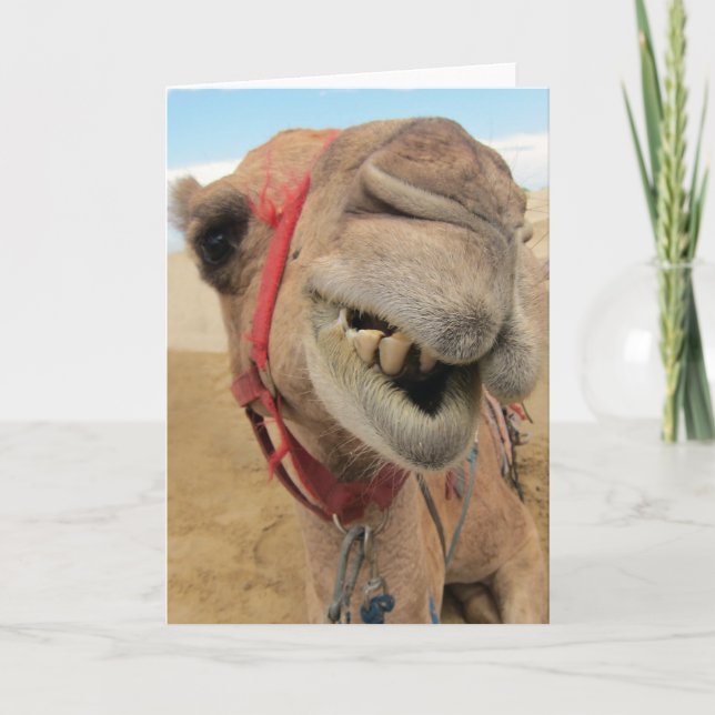 En Cheerful Camel Kort (Framsida)