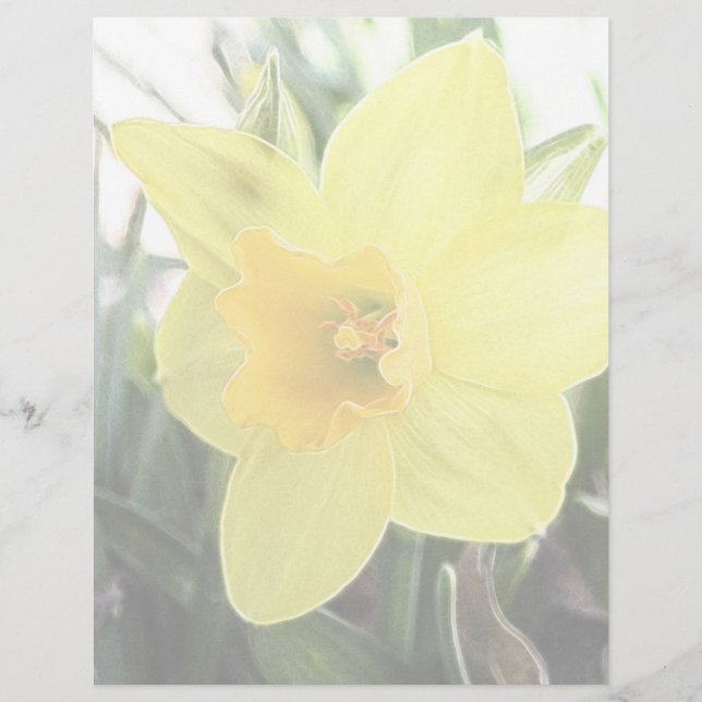 En Cheerful Gult Daffodil (Framsida)
