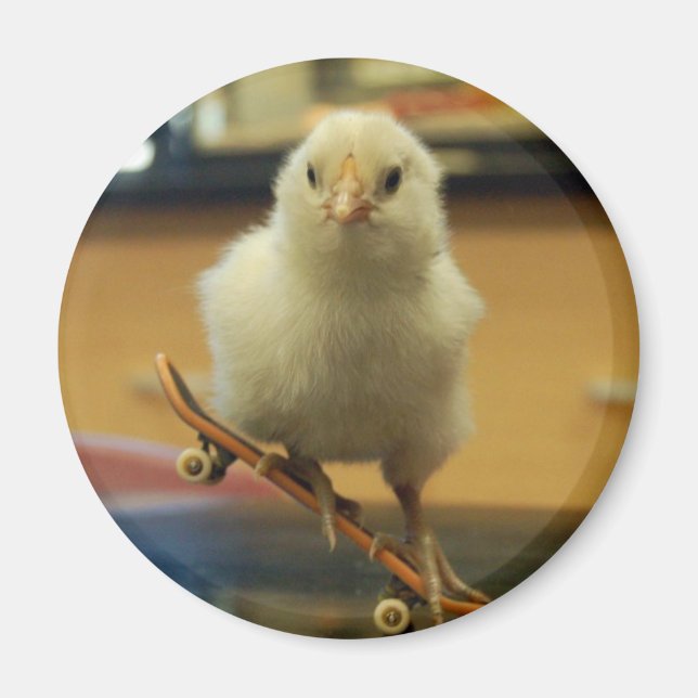 En chick på skateboard dekorerad magnet (Framsidan)