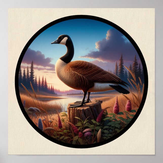 En cirkelformad 3D-bild av en vacker Kanada-gås Poster (Framsidan)