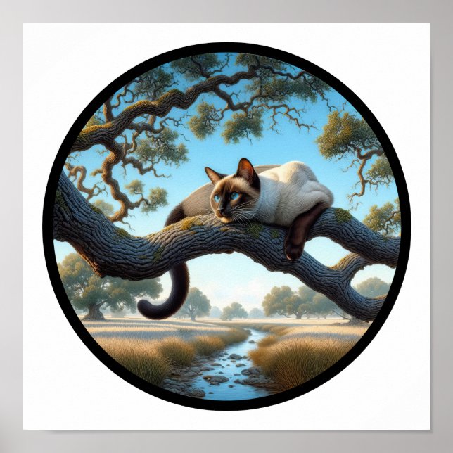 En cirkelformad 3D-bild av en vacker siamesisk kat Poster (Framsidan)