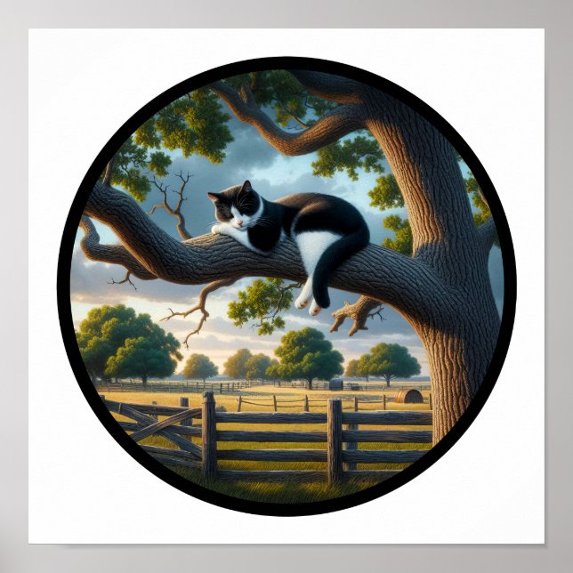 En cirkelformad 3D-bild av en vacker Tuxedo-katt Poster (Framsidan)