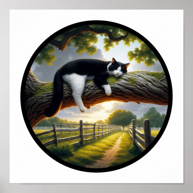 En cirkelformad 3D-bild av en vacker Tuxedo-katt Poster (Framsidan)