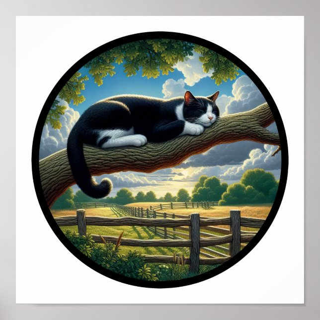 En cirkelformad 3D-bild av en vacker Tuxedo-katt Poster (Framsidan)