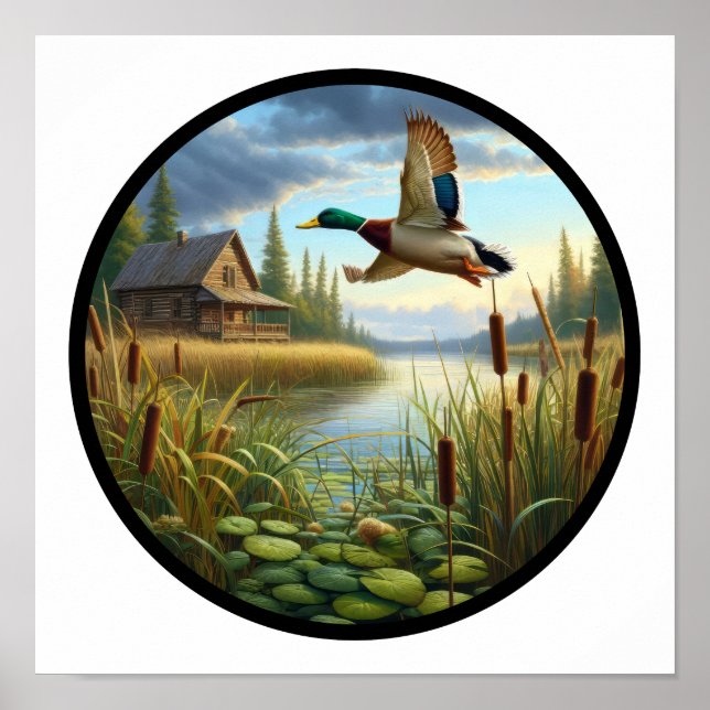 En cirkelformad 3D-bild på Mallard Anka som flyger Poster (Framsidan)