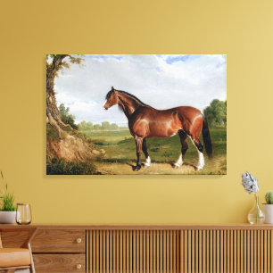 En Clydesdale-hingst Canvastryck
