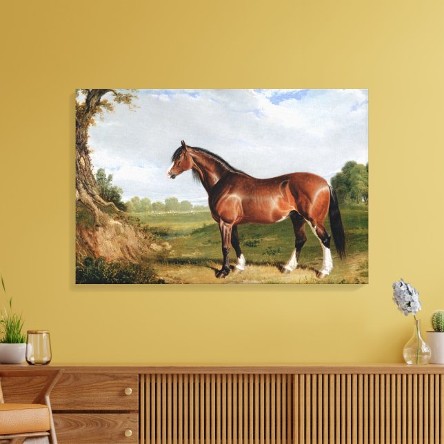 En Clydesdale-hingst Canvastryck (Insitu (Vardagsrum))