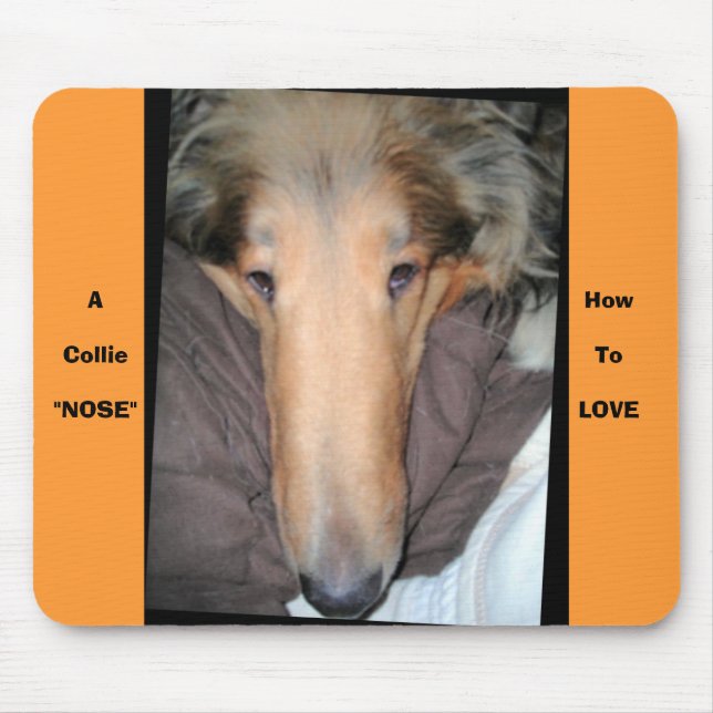 En Collie NOSE. Musmatta (Framsidan)