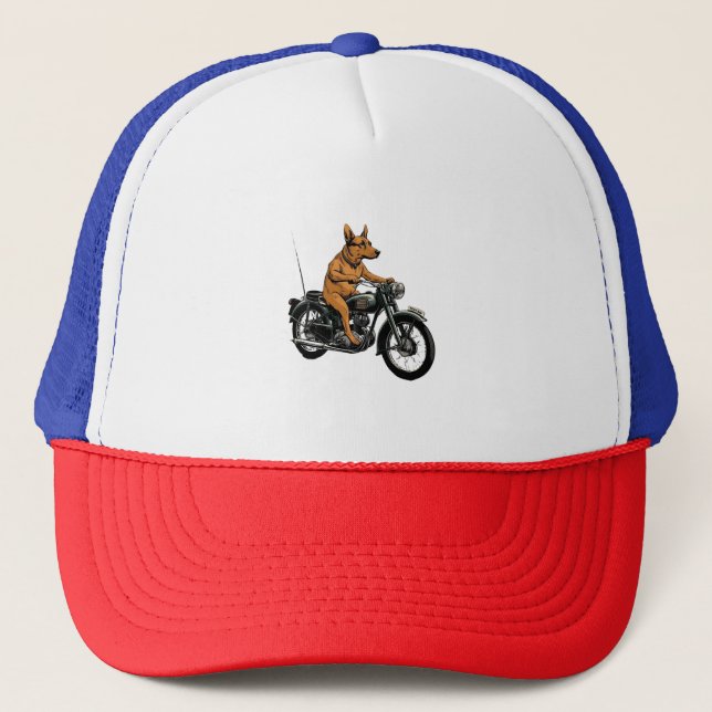 En cool hund som kör en motorcykel keps (Framsida)