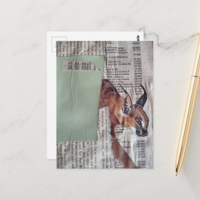 En cool stor katt mixed media collage vykort (Fram/Back In Situ)