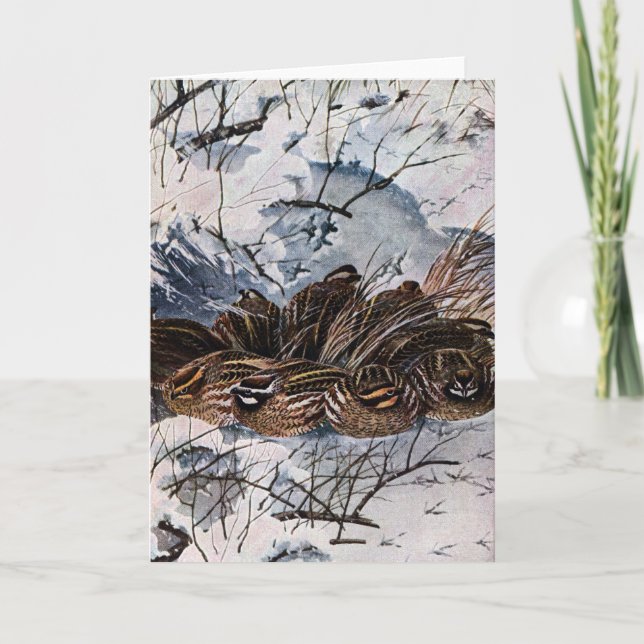 En Covey av Bobwhites Kort (Framsida)