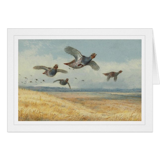 En Covey av rapphönan Hälsningskort (Framsidan Horizontal)