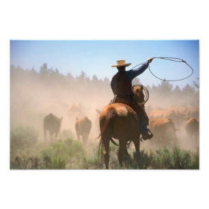En cowboy som arbetar med hjorden på en boskap fototryck