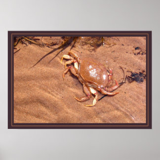 En Crusty Shore Poster