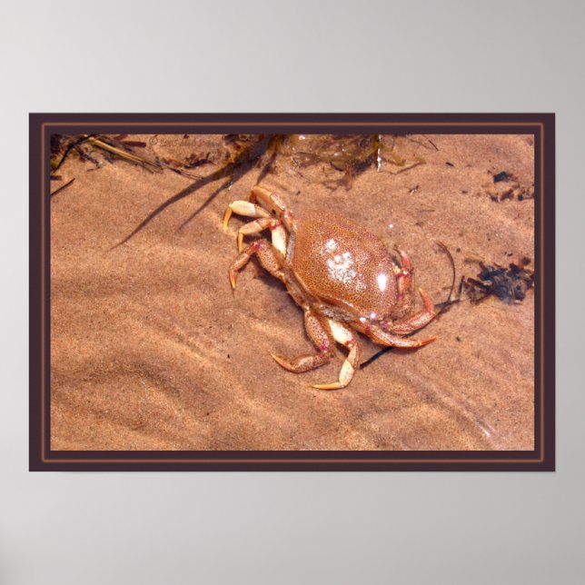 En Crusty Shore Poster (Framsidan)