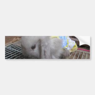 En Cute Bunny Rabbit i en press Bildekal