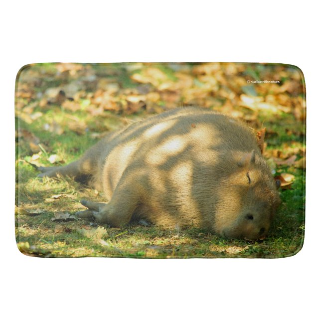 En Cute Capybara Dreams i Sommaren Sol Badrumsmatta (Framsidan)