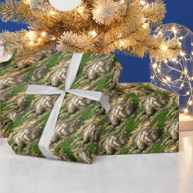 En Cute Capybara Dreams i Sommaren Sol Presentpapper (Helgdagar)