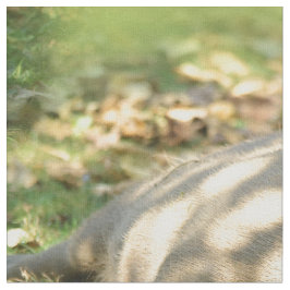 En Cute Capybara Dreams i Sommaren Sol Tyg