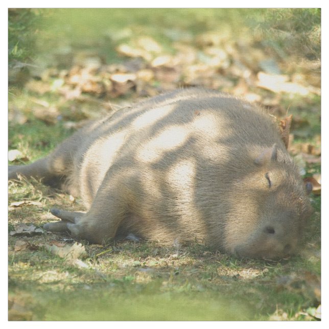 En Cute Capybara Dreams i Sommaren Sol Tyg (Provkarta)