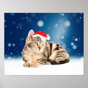 En Cute Cat med röd julhatt Snö Poster