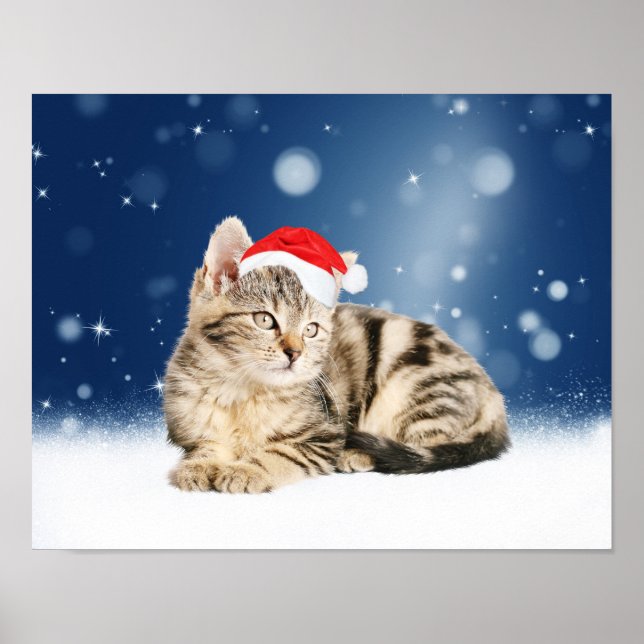 En Cute Cat med röd julhatt Snö Poster (Framsidan)